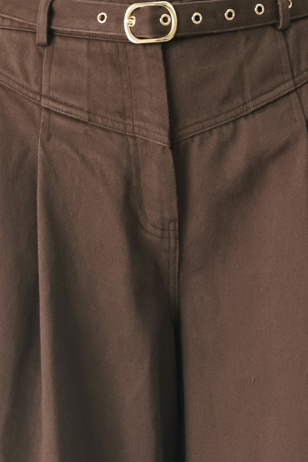Caramel Wide-Leg Pants